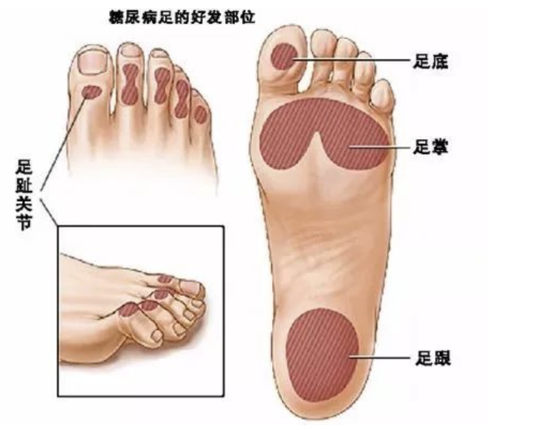 1741745448042.jpg
