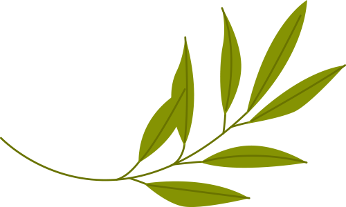 640 (4).png