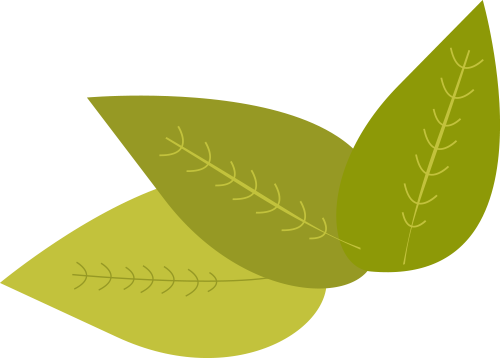 640 (5).png