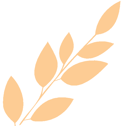 xmyeditor_33.gif