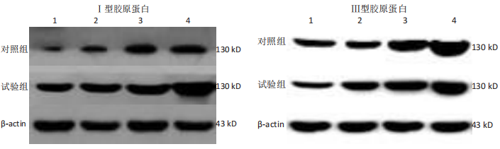 xmyeditor_26.png