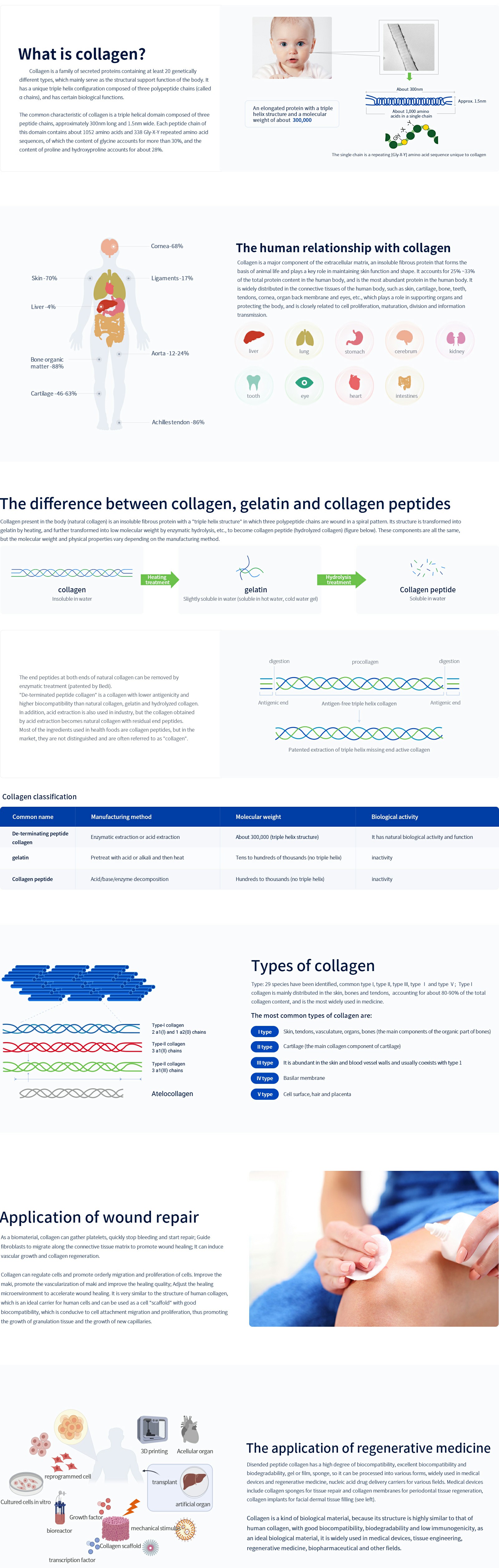 1687686643974082.jpg What is collagen.jpg
